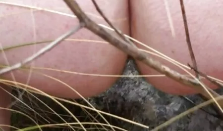 Un homme noir a mis le cancer sur film porno gratuit clara morgane une fille et l'a baisée.