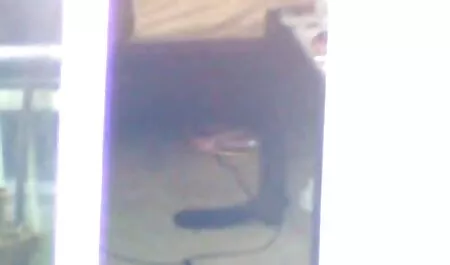 Lesbienne dans video x arabe gratuit le vestiaire.