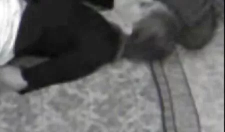 Mec noir lèche le cul et film x gratuit africain baise Rousse.